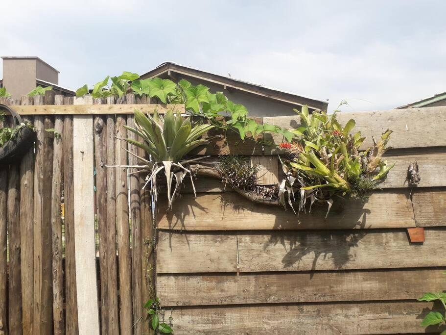 Casa Proximo A Praias, Trilhas E Cachoeiras. 가로파바 외부 사진