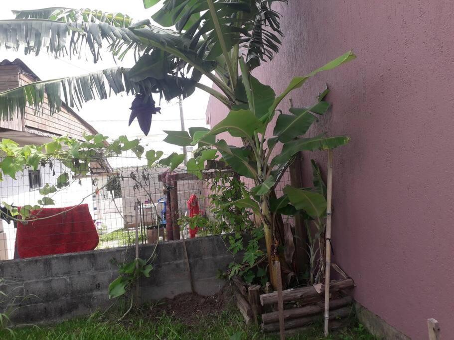 Casa Proximo A Praias, Trilhas E Cachoeiras. 가로파바 외부 사진