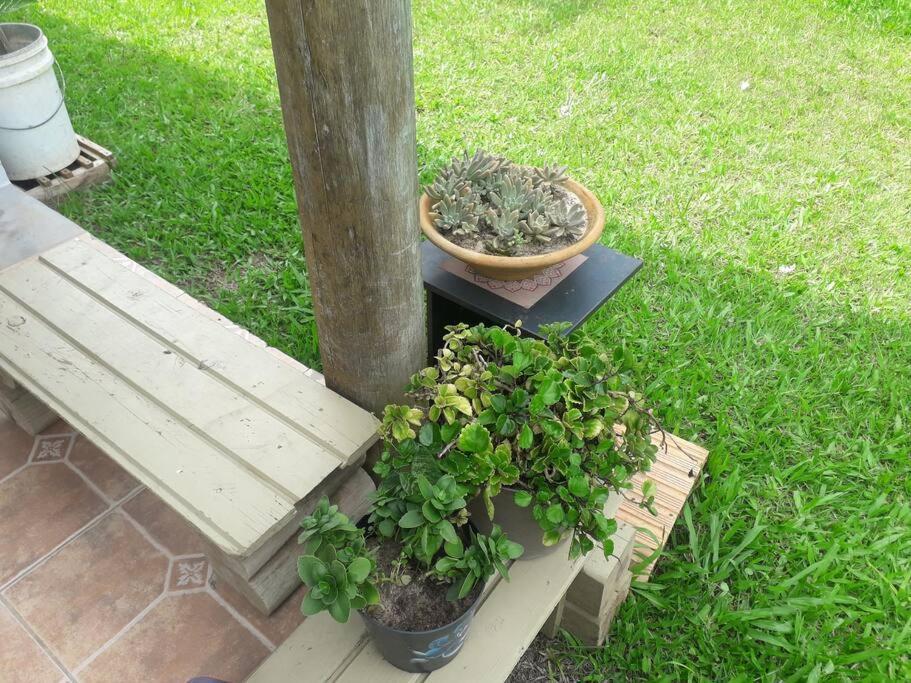 Casa Proximo A Praias, Trilhas E Cachoeiras. 가로파바 외부 사진
