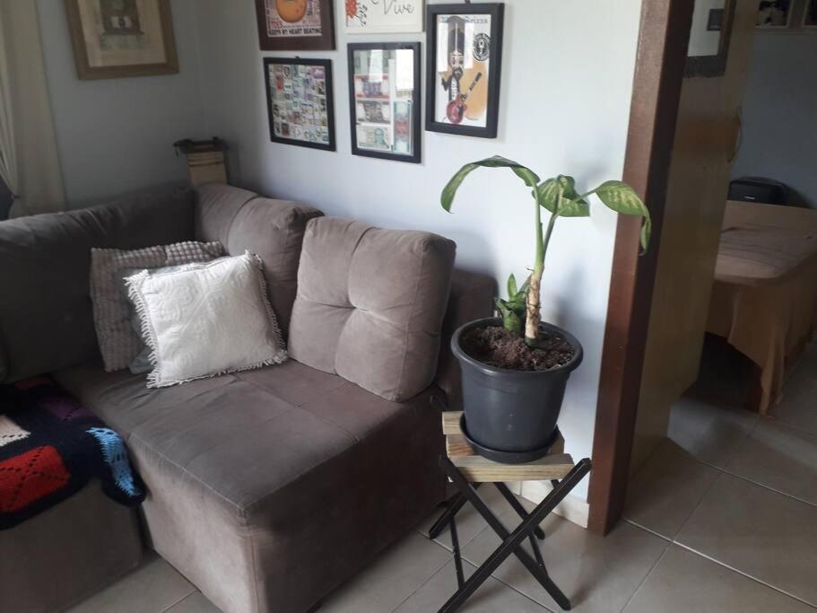 Casa Proximo A Praias, Trilhas E Cachoeiras. 가로파바 외부 사진